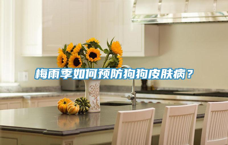 梅雨季如何預(yù)防狗狗皮膚??？