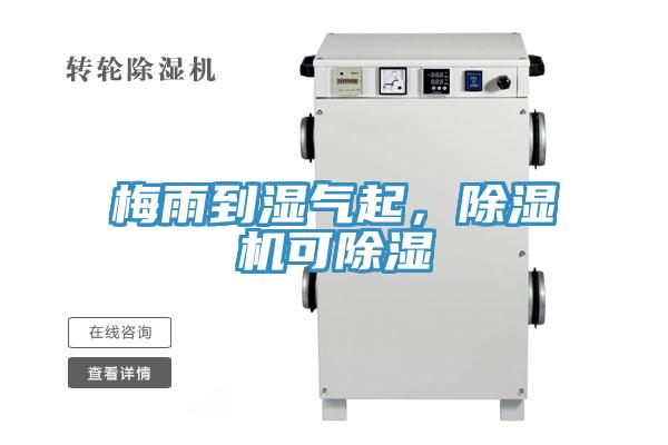 梅雨到濕氣起，除濕機可除濕
