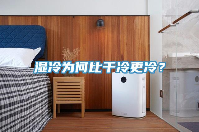 濕冷為何比干冷更冷？