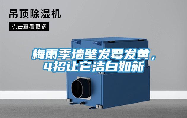 梅雨季墻壁發(fā)霉發(fā)黃，4招讓它潔白如新