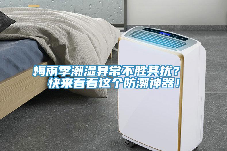 梅雨季潮濕異常不勝其擾？ 快來看看這個防潮神器！