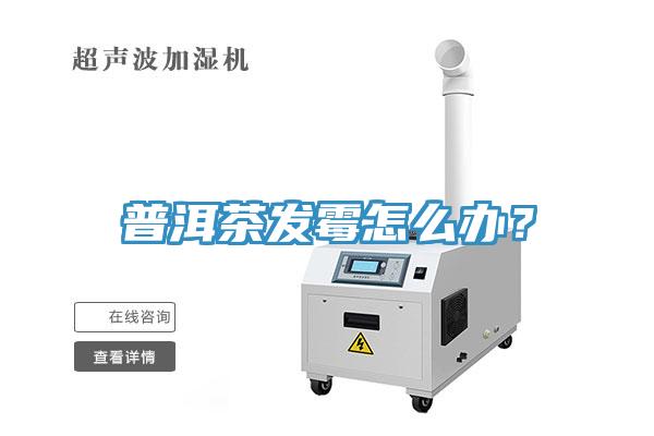 普洱茶發(fā)霉怎么辦？
