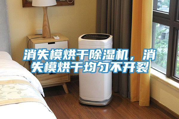 消失模烘干除濕機，消失模烘干均勻不開裂