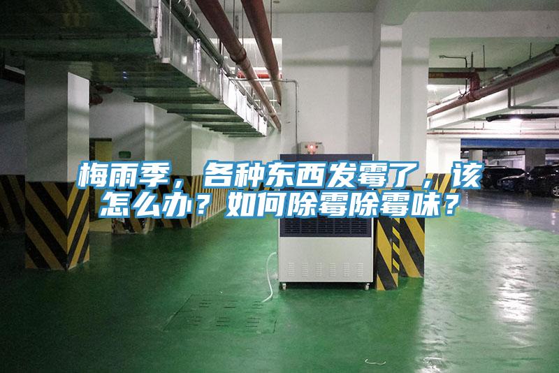 梅雨季，各種東西發(fā)霉了，該怎么辦？如何除霉除霉味？