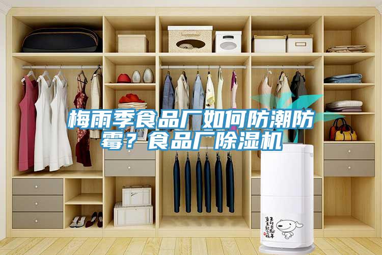 梅雨季食品廠如何防潮防霉？食品廠除濕機(jī)
