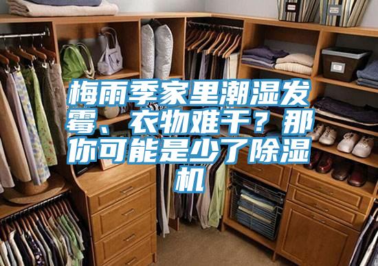 梅雨季家里潮濕發(fā)霉、衣物難干？那你可能是少了除濕機(jī)