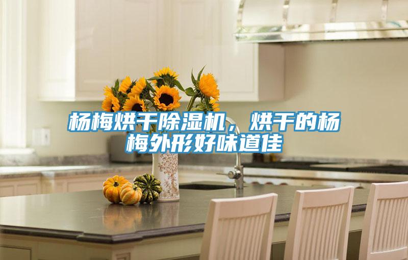 楊梅烘干除濕機(jī)，烘干的楊梅外形好味道佳