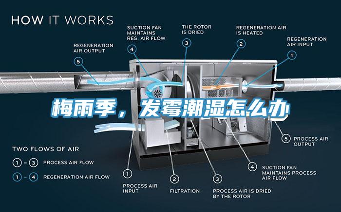 梅雨季，發(fā)霉潮濕怎么辦