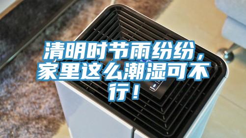 清明時節(jié)雨紛紛，家里這么潮濕可不行！