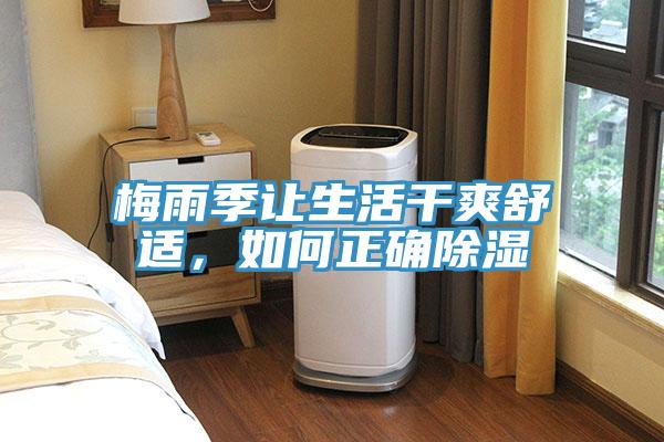 梅雨季讓生活干爽舒適，如何正確除濕