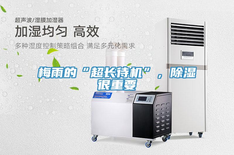 梅雨的“超長待機”，除濕很重要