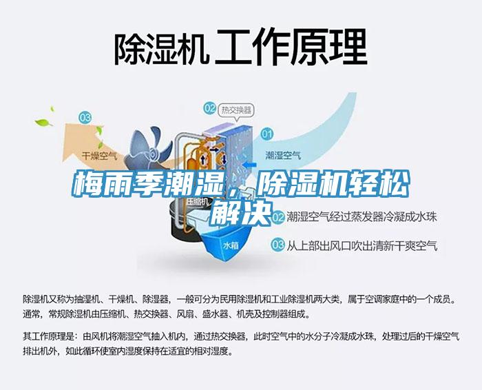 梅雨季潮濕，除濕機(jī)輕松解決