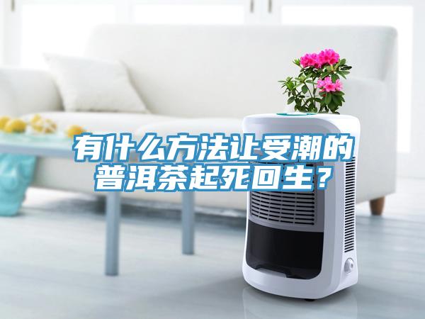 有什么方法讓受潮的普洱茶起死回生？