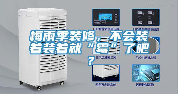 梅雨季裝修，不會裝著裝著就“霉”了吧？