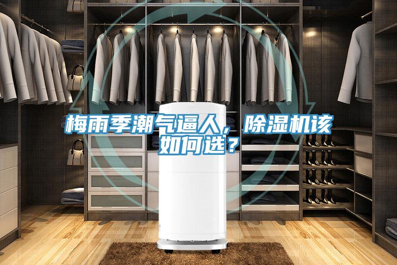 梅雨季潮氣逼人，除濕機該如何選？