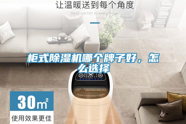 柜式除濕機哪個牌子好，怎么選擇