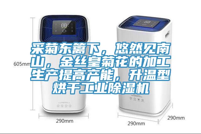 采菊東籬下，悠然見南山，金絲皇菊花的加工生產(chǎn)提高產(chǎn)能，升溫型烘干工業(yè)除濕機