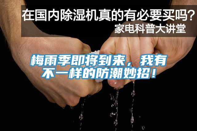 梅雨季即將到來，我有不一樣的防潮妙招！
