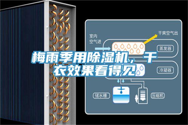 梅雨季用除濕機(jī)，干衣效果看得見