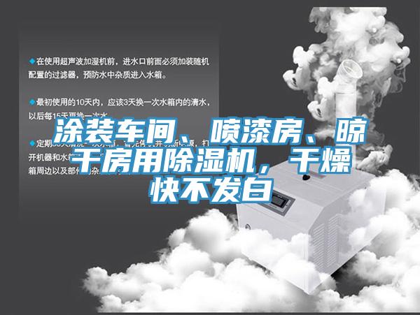 涂裝車間、噴漆房、晾干房用除濕機(jī)，干燥快不發(fā)白