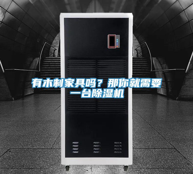 有木制家具嗎？那你就需要一臺除濕機