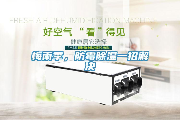 梅雨季，防霉除濕一招解決