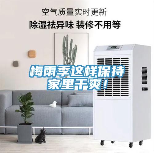 梅雨季這樣保持家里干爽！