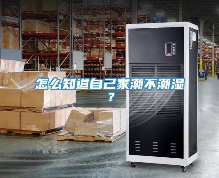 怎么知道自己家潮不潮濕？