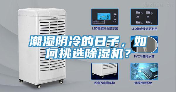 潮濕陰冷的日子，如何挑選除濕機？