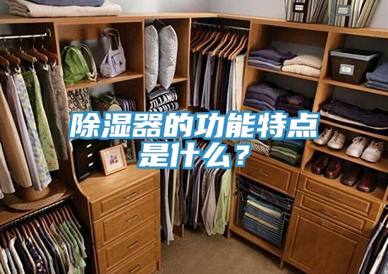 除濕器的功能特點是什么？