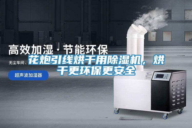 花炮引線烘干用除濕機(jī)，烘干更環(huán)保更安全