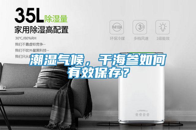 潮濕氣候，干海參如何有效保存？