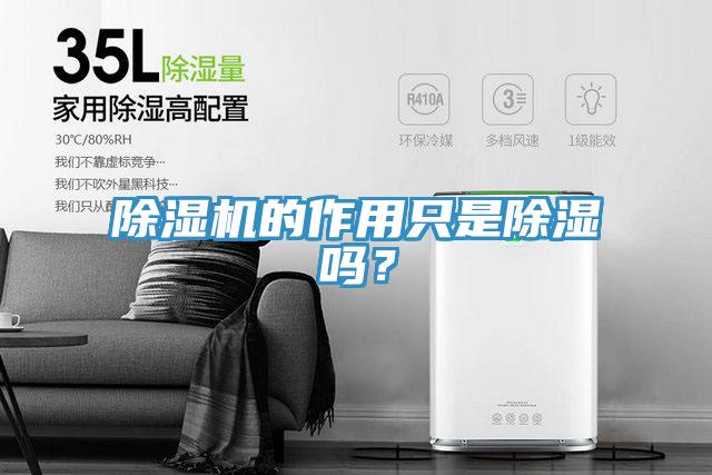 除濕機的作用只是除濕嗎？