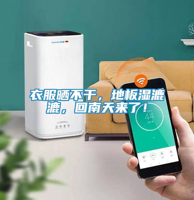 衣服曬不干，地板濕漉漉，回南天來了！