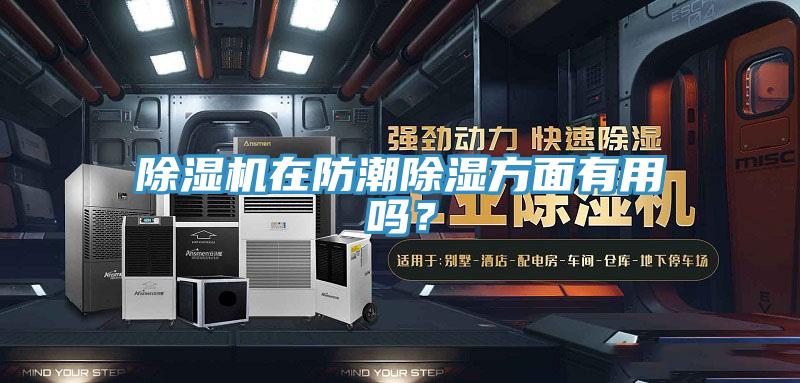 除濕機在防潮除濕方面有用嗎？