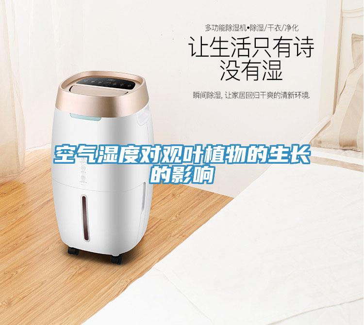 空氣濕度對(duì)觀葉植物的生長的影響