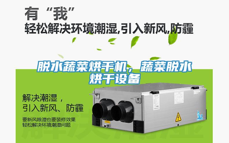 脫水蔬菜烘干機，蔬菜脫水烘干設(shè)備