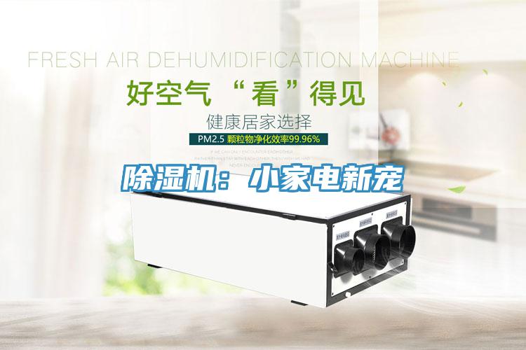 除濕機(jī):小家電新寵