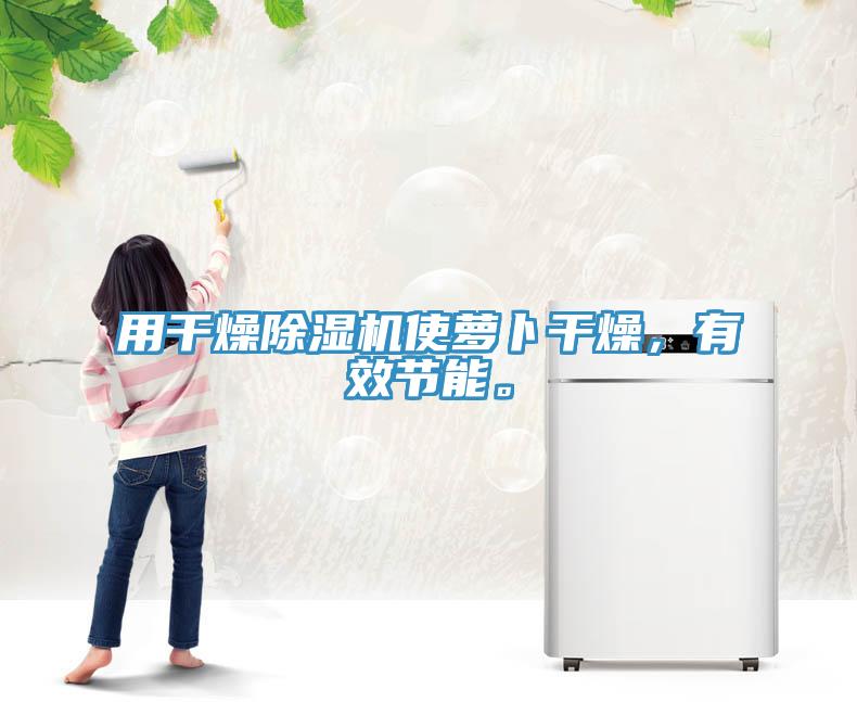 用干燥除濕機使蘿卜干燥，有效節(jié)能。