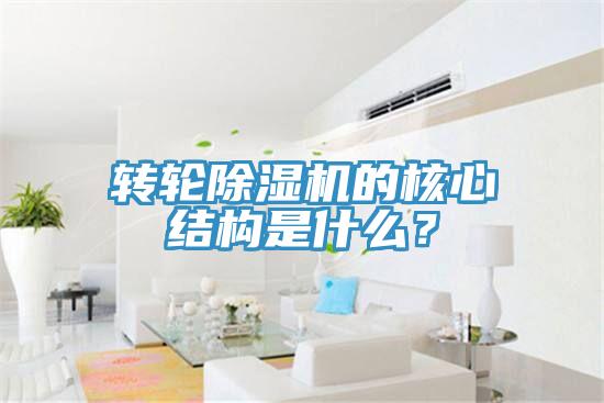 轉(zhuǎn)輪除濕機的核心結(jié)構(gòu)是什么？