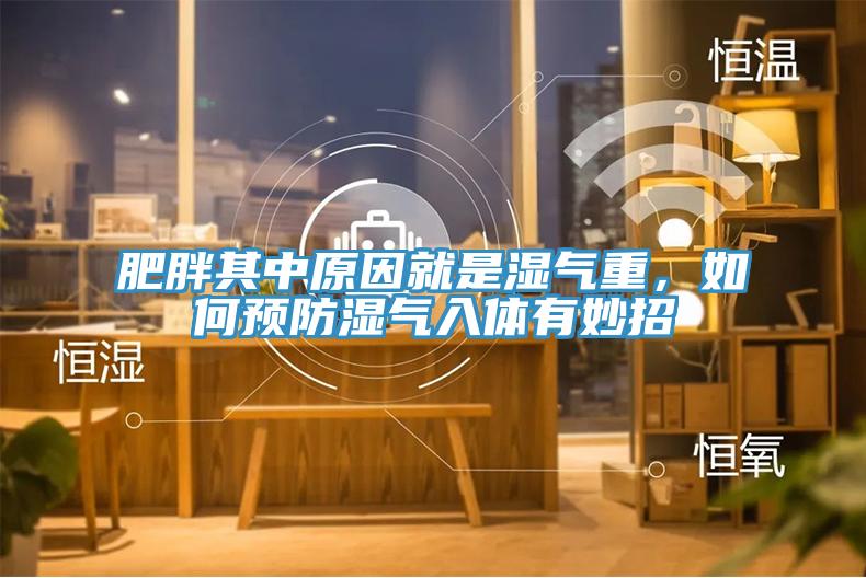 肥胖其中原因就是濕氣重，如何預(yù)防濕氣入體有妙招