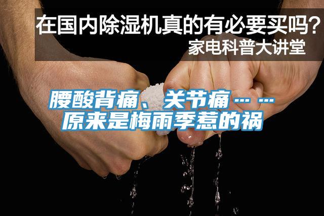 腰酸背痛、關(guān)節(jié)痛……原來是梅雨季惹的禍