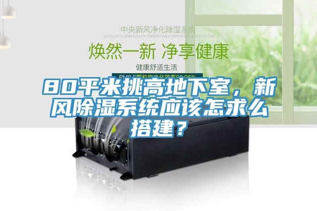 80平米挑高地下室，新風(fēng)除濕系統(tǒng)應(yīng)該怎求么搭建？