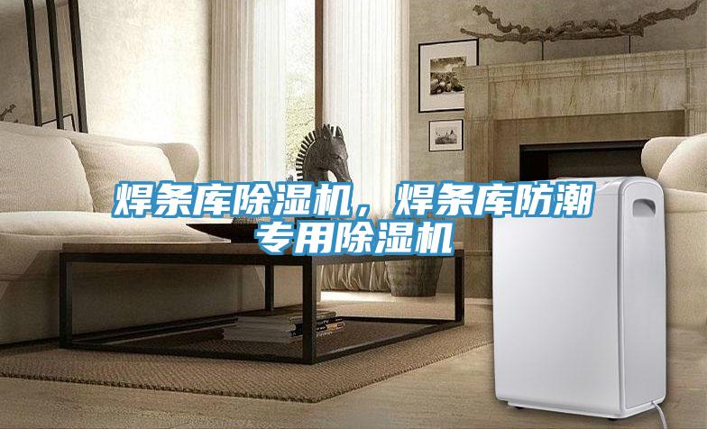 焊條庫除濕機，焊條庫防潮專用除濕機