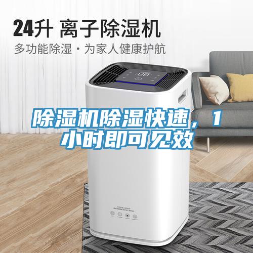 除濕機除濕快速，1小時即可見效