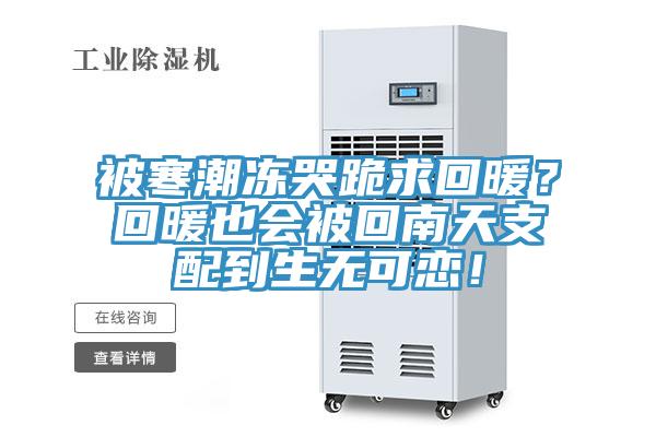 被寒潮凍哭跪求回暖？回暖也會被回南天支配到生無可戀！