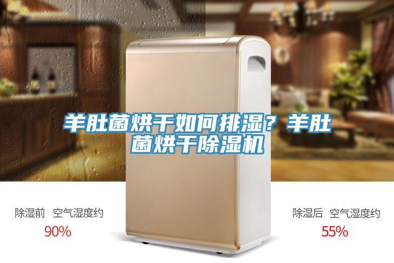 羊肚菌烘干如何排濕？羊肚菌烘干除濕機(jī)