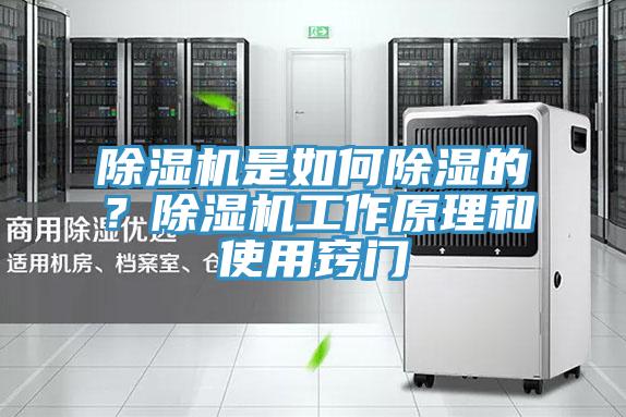 除濕機(jī)是如何除濕的？除濕機(jī)工作原理和使用竅門