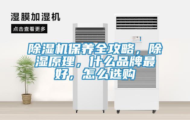 除濕機保養(yǎng)全攻略，除濕原理，什么品牌最好，怎么選購