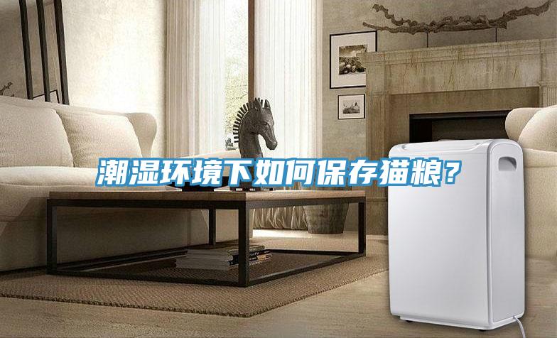 潮濕環(huán)境下如何保存貓糧？